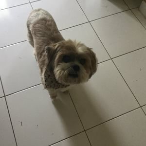 Meet your Posher, Maryanna